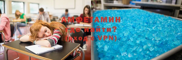 стаф Алзамай