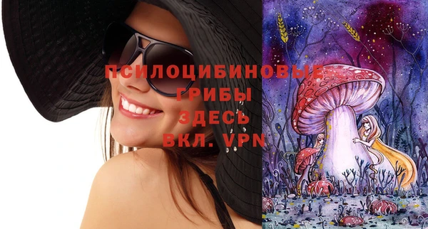кокс Алексин