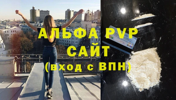 стаф Алзамай