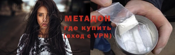 стаф Алзамай