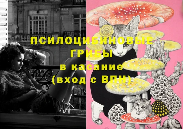 2c-b Аркадак
