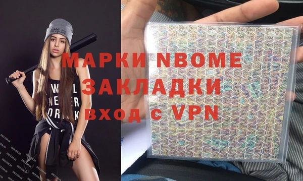стаф Алзамай